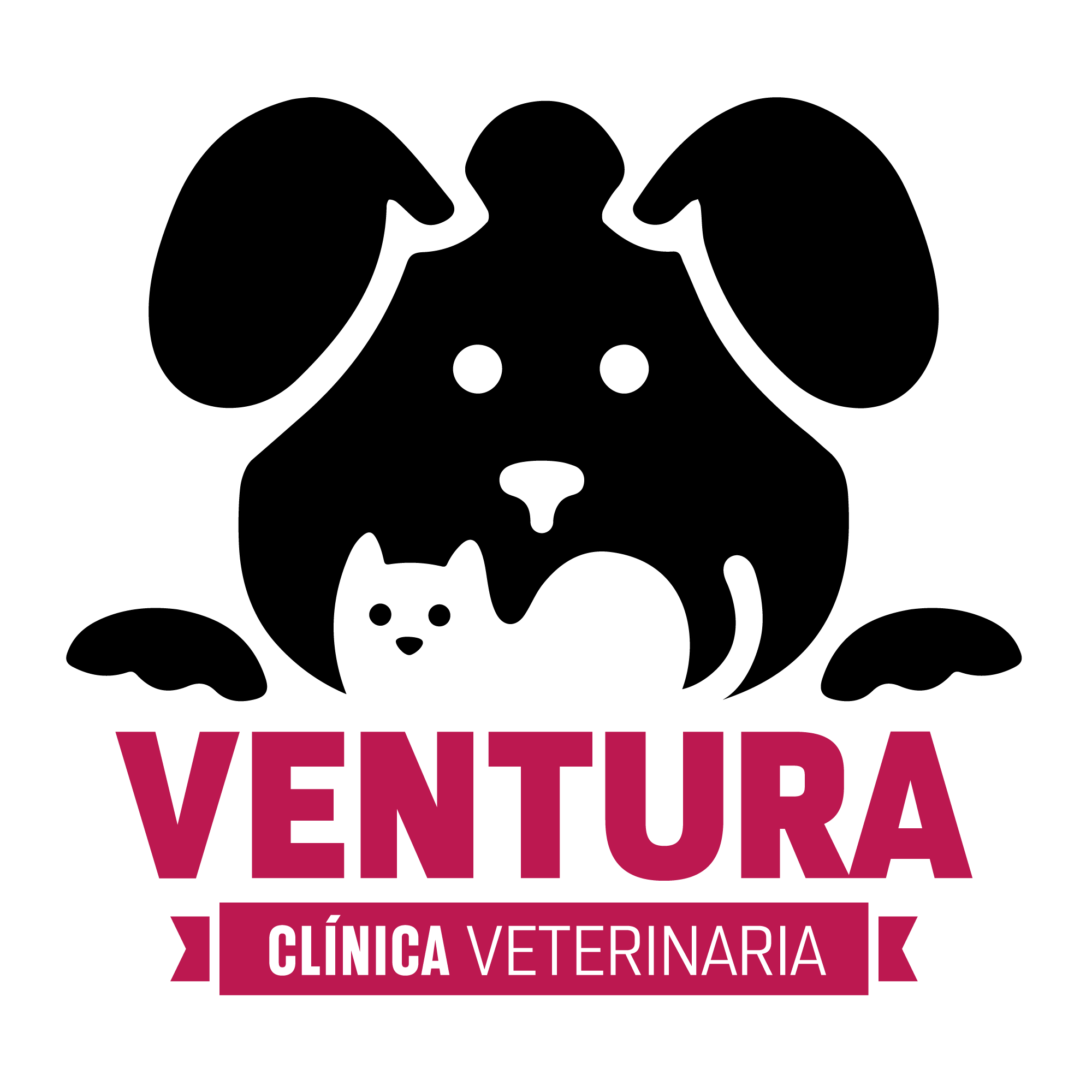 Logo-Ventura-clínica-Vet-positivo