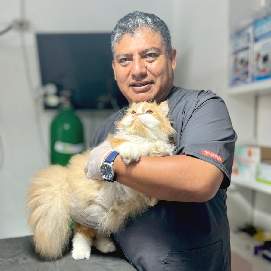 Vetventura-plan-de-salud-cita-medica